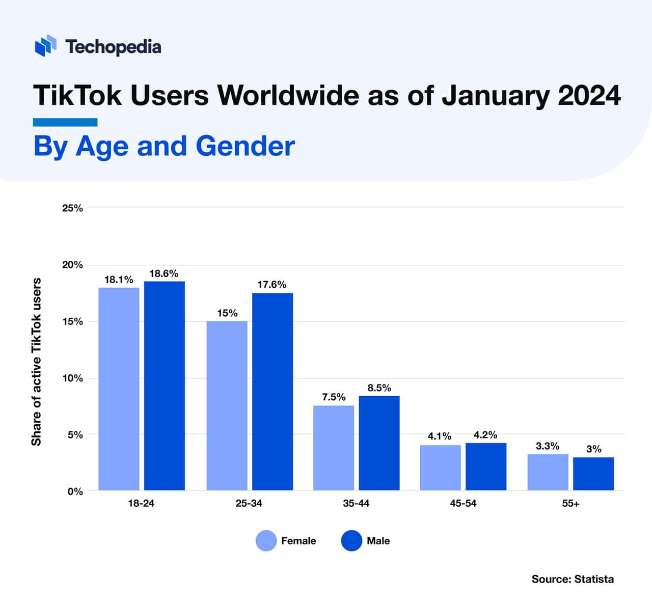 TikTok Users Worldwide