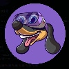 Best new cryptocurrency WienerAI