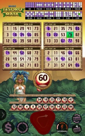 Bingo Crypto Lottery Game