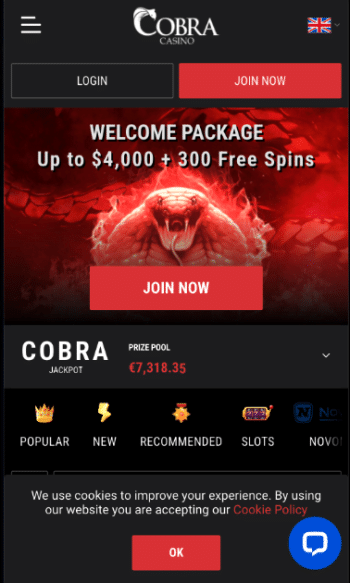 Cobra Casino - Online Blackjack in Canada