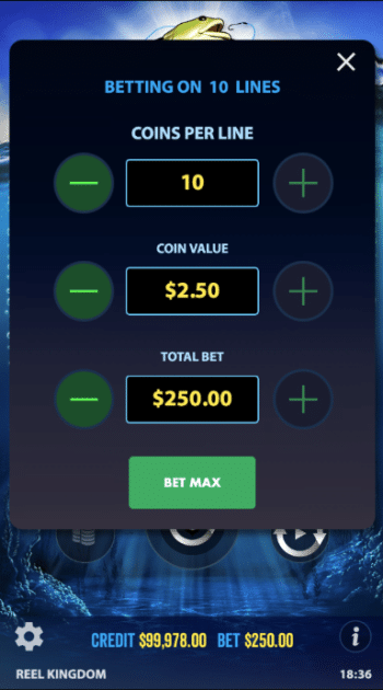 Big Bass Bonanza Slot Betting Options on Mobile - Techopedia
