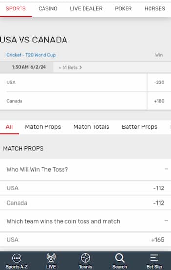 how to bet on cricket - bovada