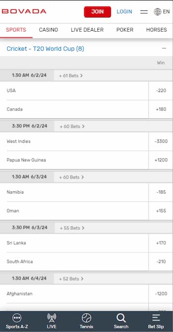 how to bet on cricket