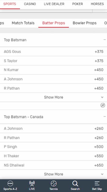 how to bet on cricket - player props