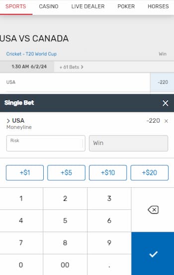 how to bet on cricket - bovada