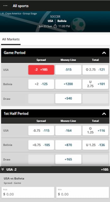Confirm Your Soccer Odds, Stake, and Place the Bet
