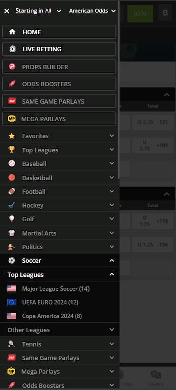Choose Soccer from the Navigation Menu