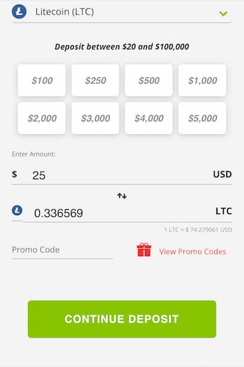Enter a Bonus Code (Optional)