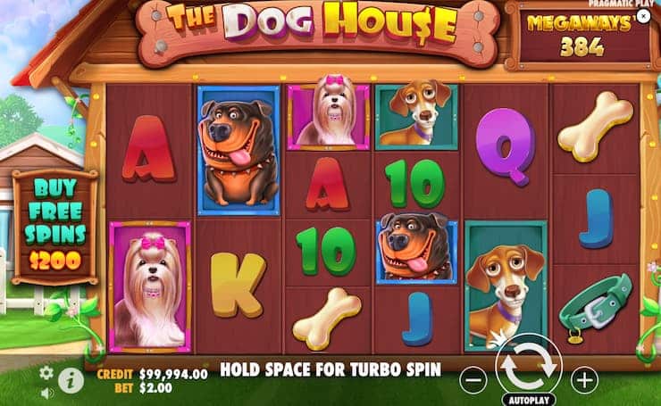The Dog House Megaways pokies online in New Zealand - Techopedia