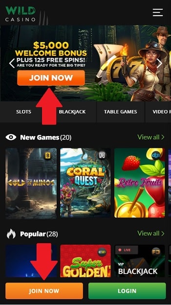 5 Critical Skills To Do real money online casinos Loss Remarkably Well