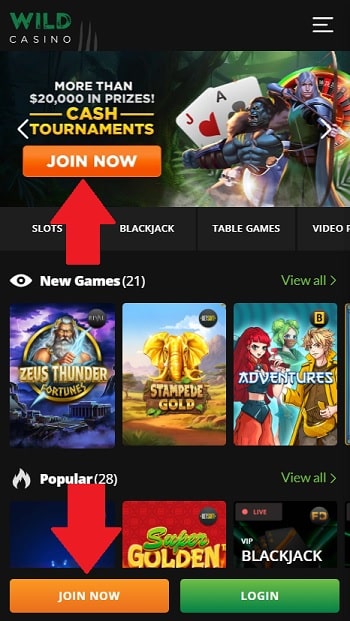 Real Money Action: A Guide to Indian Online Casinos Explained 101