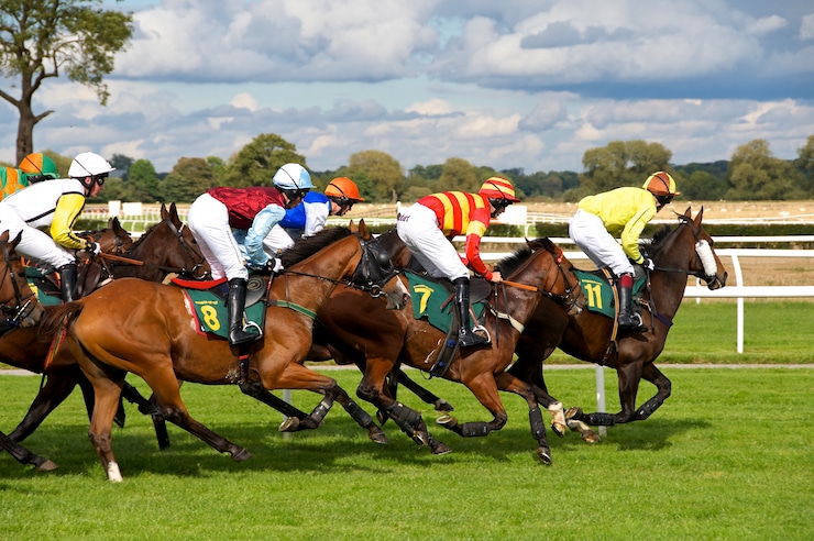 Off-Track Betting