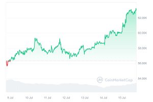 Bitcoin BTC 1-Week Performance