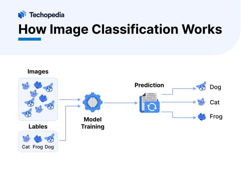 What is Image Classification? Definition, Techniques & Uses - Techopedia