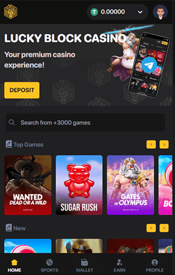 High roller bitcoin casinos