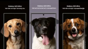Samsung's 'See Beyond Color' Campaign helping shelter dogs find their forever homes. 