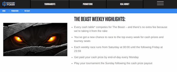 Black Chip Poker review - The Beast leaderboard race