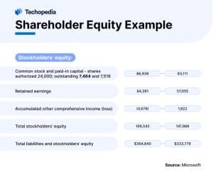 Shareholder Equity Example