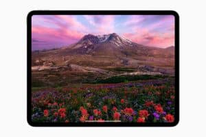 iPad Pro's Ultra Retina XDR OLED display with ProMotion