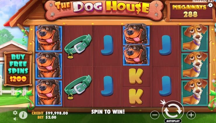 The Dog House Megaways slot online - Techopedia