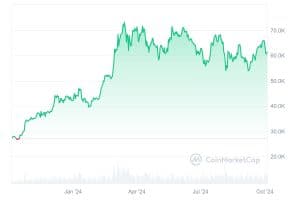 Bitcoin 1-year performance chart