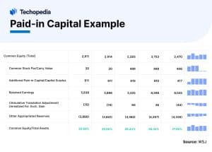 Paid-in Capital Examples