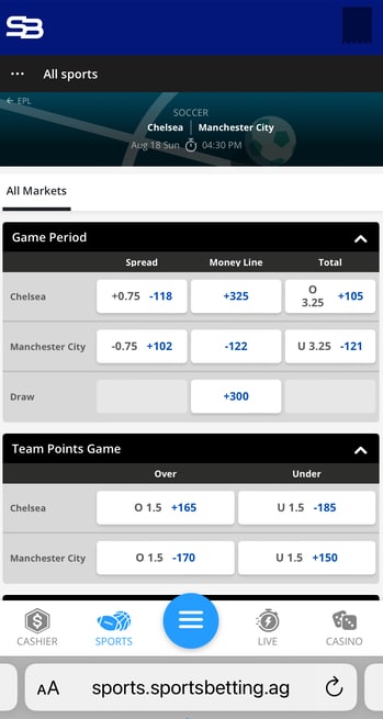 Sports Betting Premier League