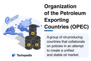 What is the Organization of the Petroleum Exporting Countries