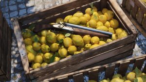 When life gives you lemons, use them to smuggle shotguns. 