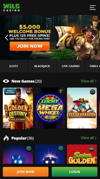 Wild Casino - Best High Roller Online Casino