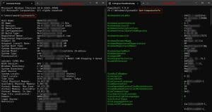 System info command