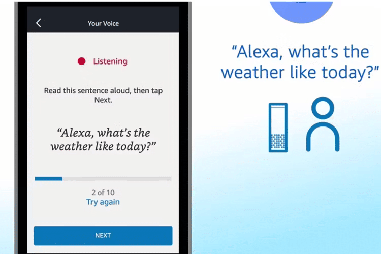 Alexa training process.