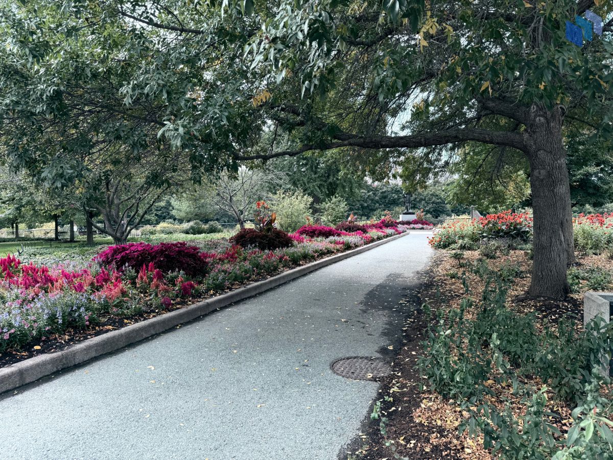 Iphone 16 Pro photo samples | Source: Jon Fingas for Techopedia