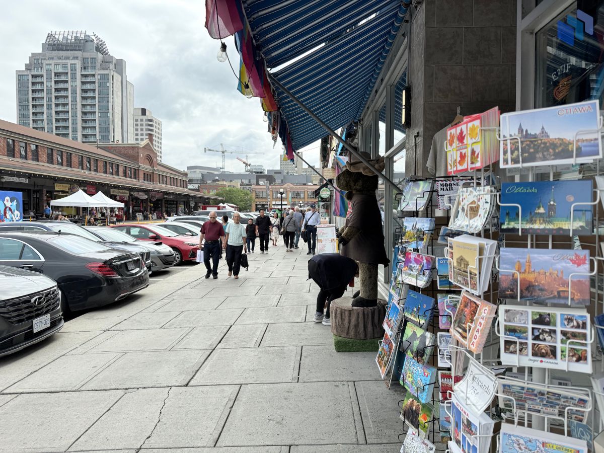 Iphone 16 Pro photo samples | Source: Jon Fingas for Techopedia