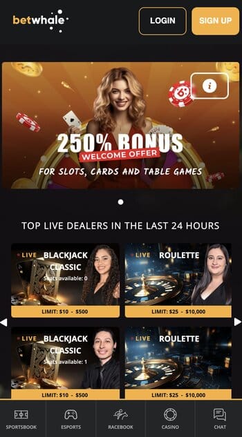 Assess Bonus Offers
