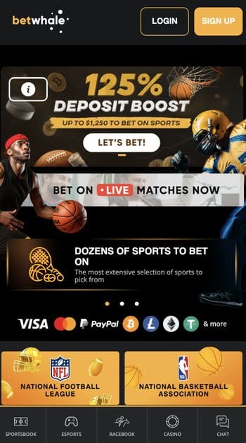 bet whale online casino in nevada