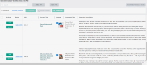 Testing Describely's bulk product descriptions