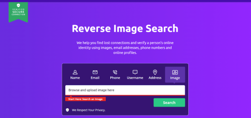 <strong>Step 4 – Go to the Reverse Image Search Page</strong>
