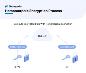 Homomorphic Encription Process