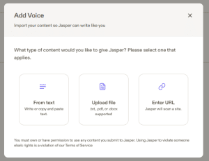 Jasper Voice Creator Options