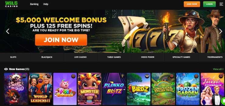 Evolution Casinos Wild Casino homepage