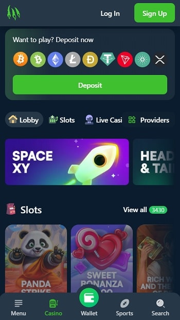 wild.io crypto casino