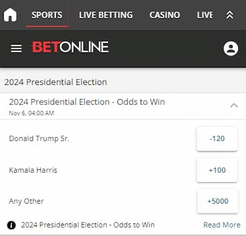 how to bet on politics - presidential election betting