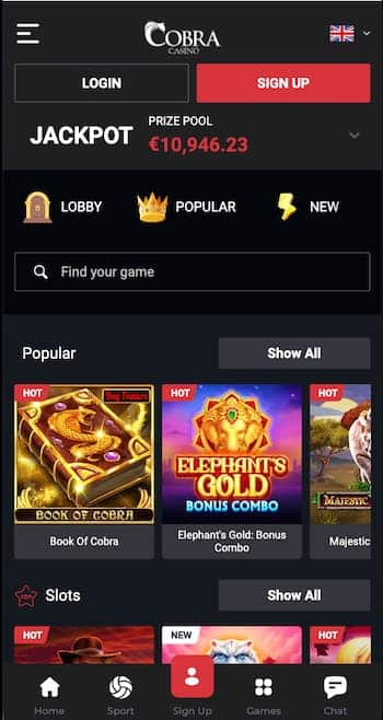 Cobra SA casino on mobile - Techopedia