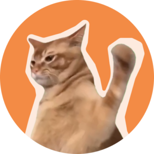 Best new cryptocurrency CatSlap