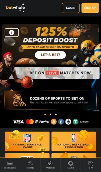 BetWhale credit card casino