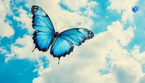 Bluesky Hits 20M Sign-Ups in 2024 – Is It Time to Leave X?