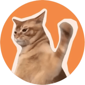 CatSlap token presale