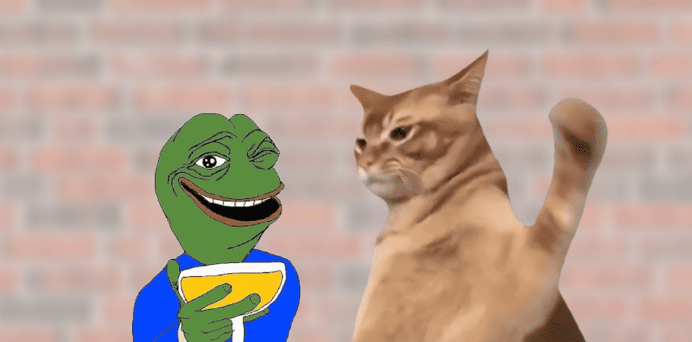 Catslap Slapping Pepe