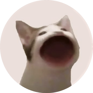 best meme coin PopCat